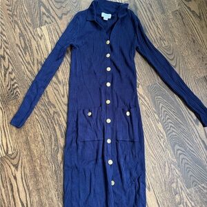 Seraphine Blue and White Buttoned Midi Dress